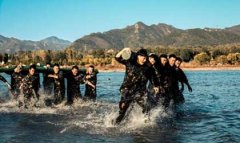 保鏢風險評估（保鏢公司風險評估過程的重點問題）